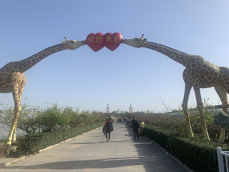 微信图片_201911141537595.jpg